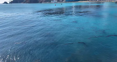 煦萋的沙龍