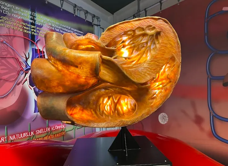 圖片來源：uitmetkinderen.nl網站