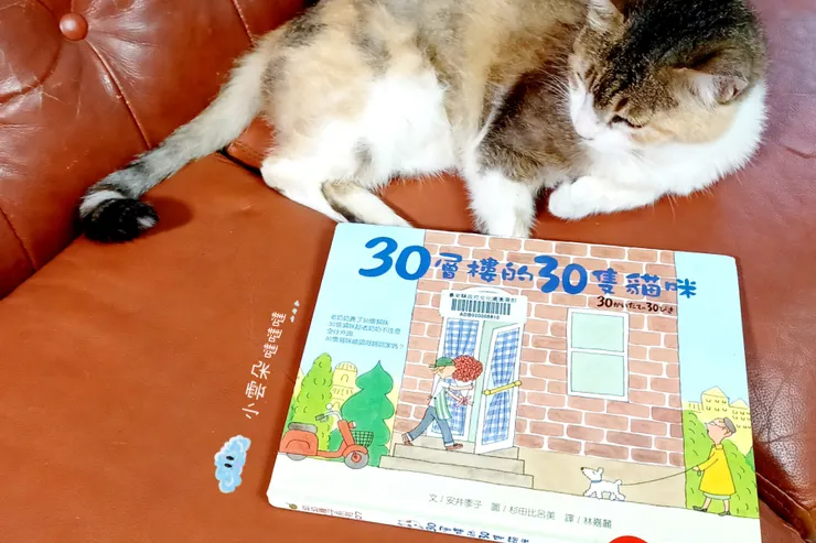 30層樓的30隻貓咪