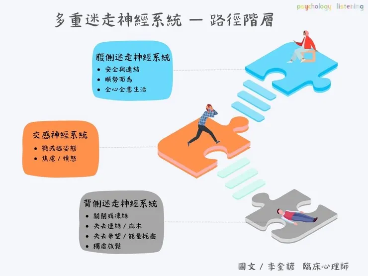 多重迷走神經階層、階梯圖 ／ 李奎諺臨床心理師