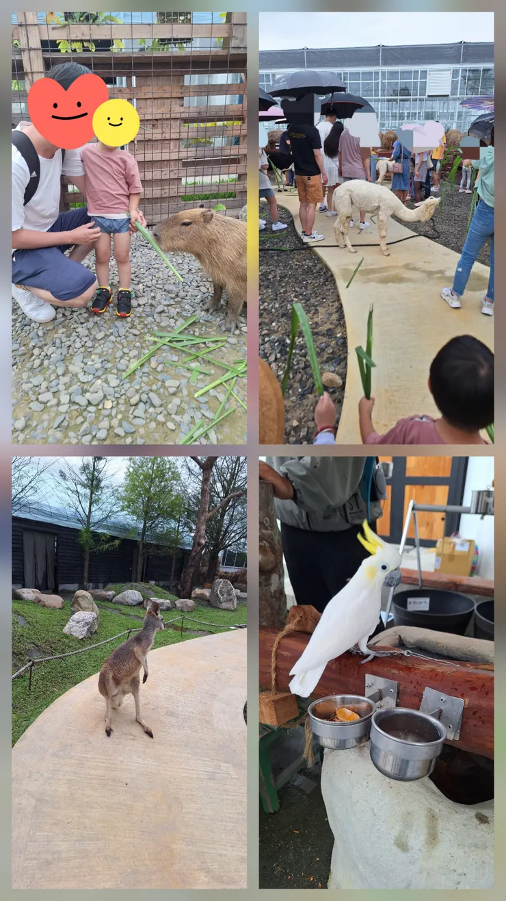 試營運的蘭陽動植物王國。