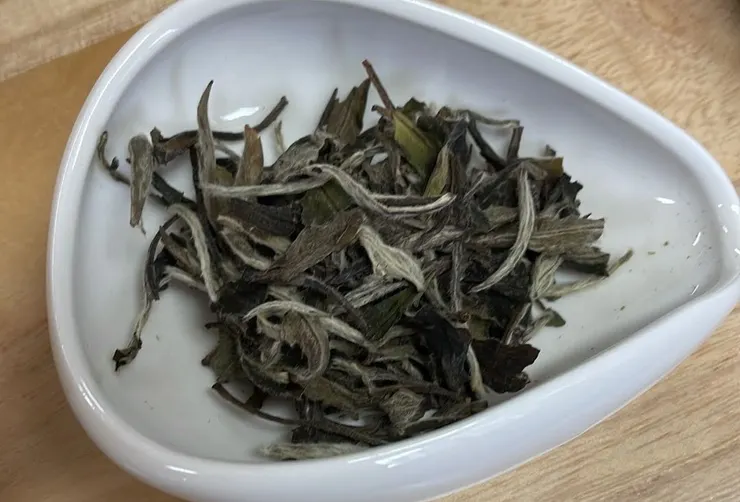 圖為白牡丹。幾乎每朵茶葉都是一芽兩葉，且披滿毫毛，當中那些毫毛富含茶氨酸，具有舒壓助眠等療效。（作者拍攝）