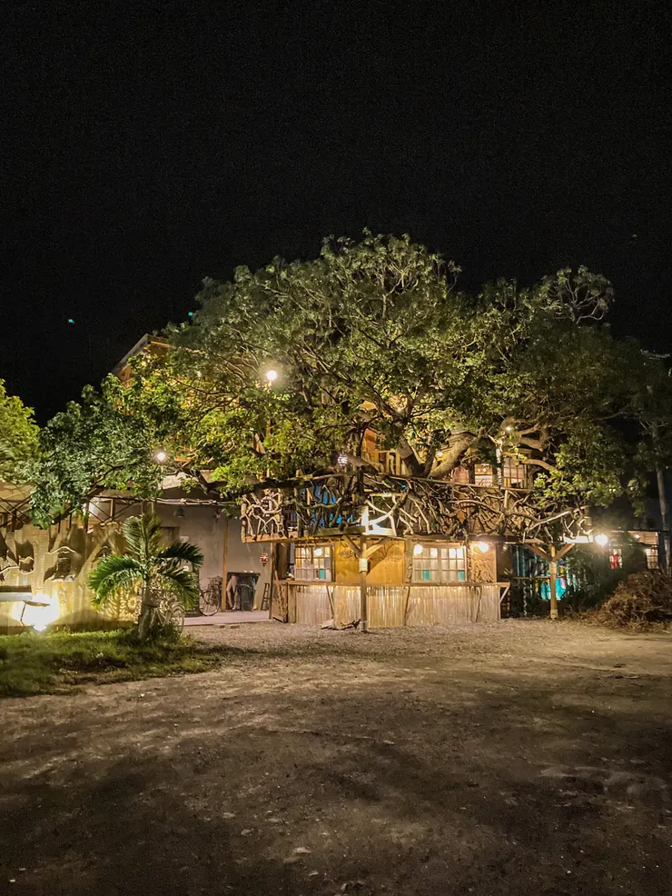 晚上超漂亮的鈕扣倉庫樹屋