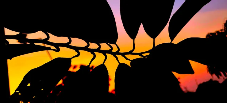 昨天傍晚在住處