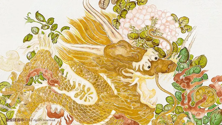 龍有善龍、惡龍之分，如法行的龍稱為善龍，會護持佛法及發心學佛修行之行者，讓眾生界風調雨順。非法行的龍稱為惡龍，則經常傷害眾生，不但引起氣候失調，甚至作祟導致人類生病、牲口死亡。