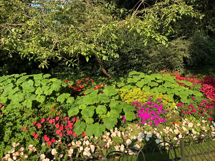flowering shrub（開花的灌木）與herbaceous plant（草本植物）構成英式洛可可風花園