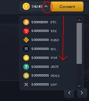 下拉右上角的箭頭,可以看到戶頭內各種虛擬幣的存款