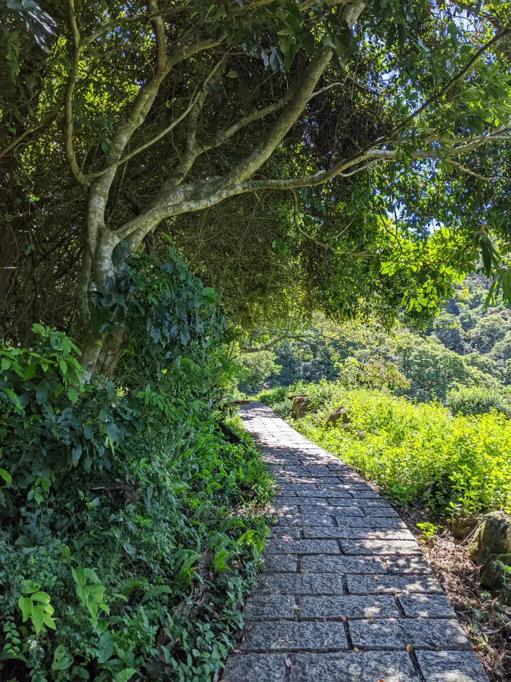 平緩好走的步道