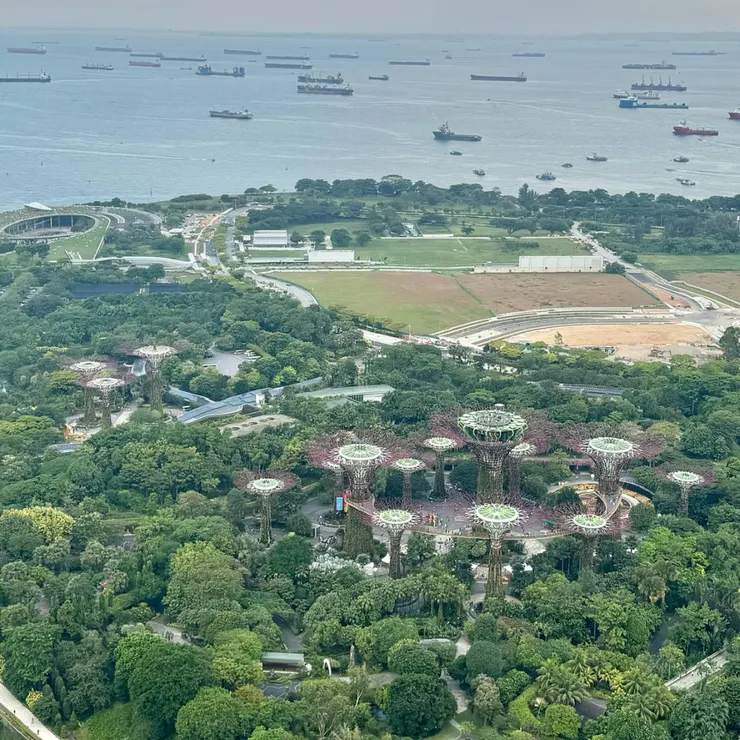 從另一個角度看昨天的濱海灣花園