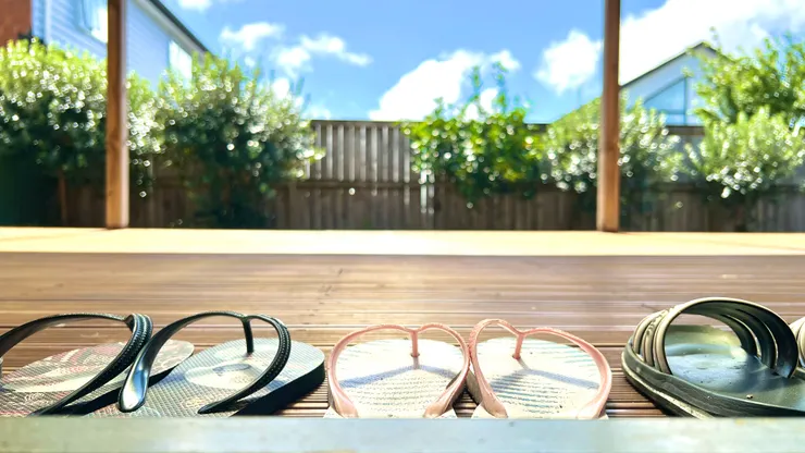 艾倫家閒適的一角，夏天的後院常是結實纍纍