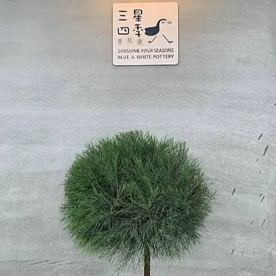 一口氣看完一本書