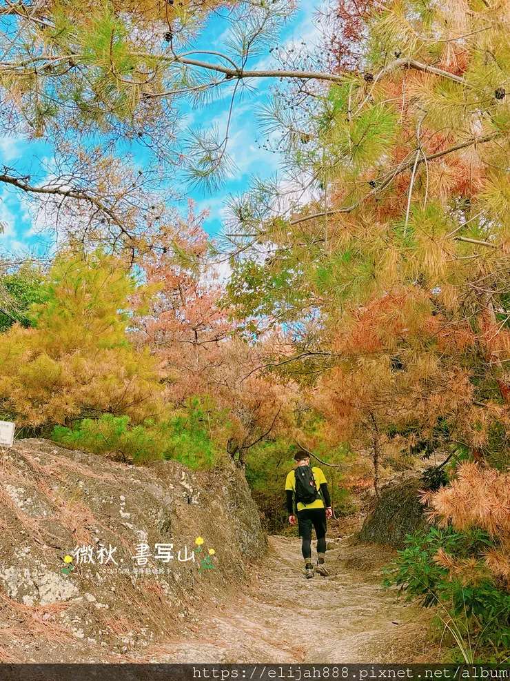 【2025初秋.兵庫県姫路市健行】書写山.海拔371公尺/圓