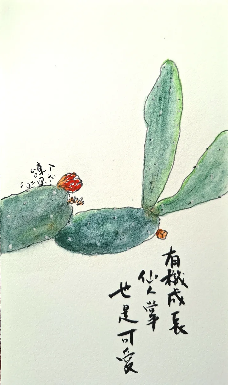 好像每回都會給仙人掌畫一張