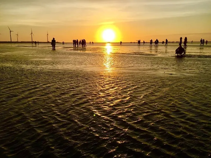 高美濕地夕陽