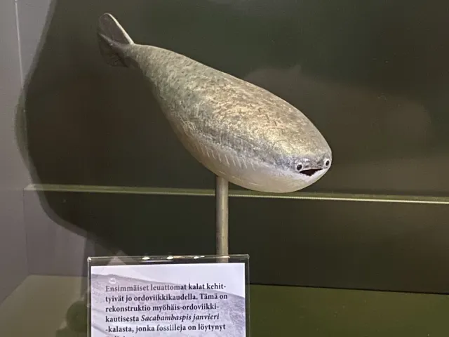 src