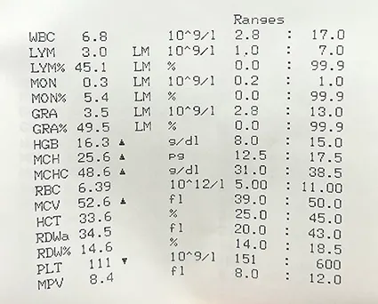十一月的血檢結果
