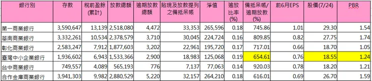 本國銀行體質比較(202405)