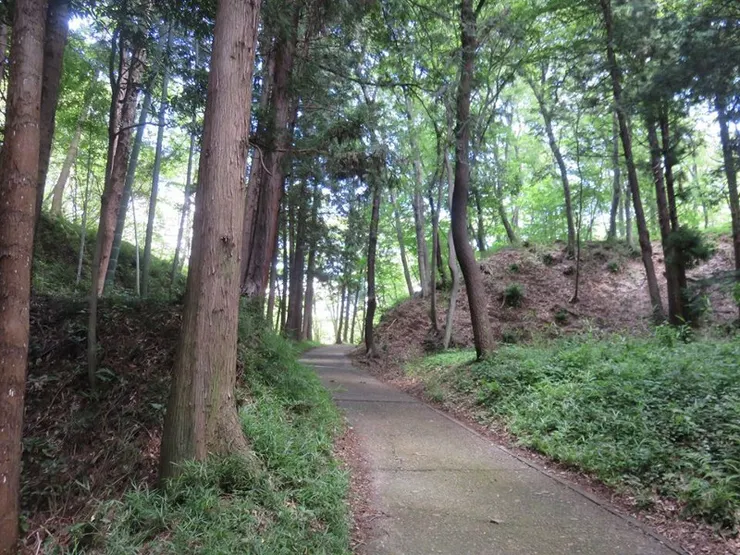 續日本100名城的瀧山城。