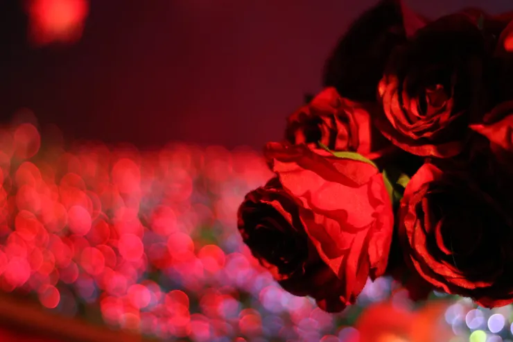炫紅玫瑰