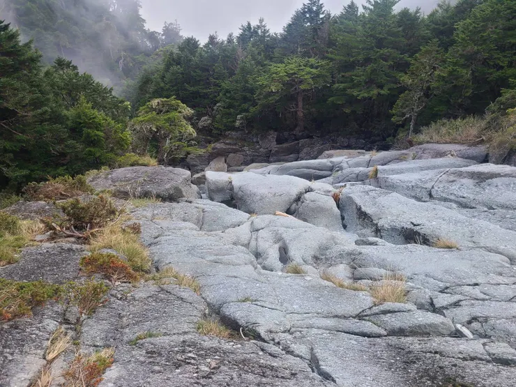 和平南溪溪底,雖為夏季但無水