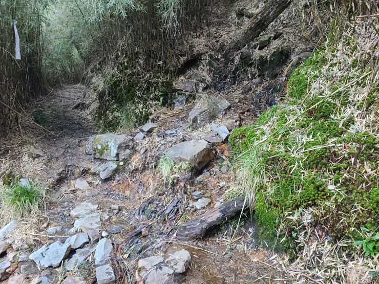 路徑右側的黃色水管，即是水源