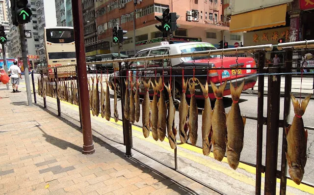這麼現代化的城市還可以路邊曬魚94狂（2016年）
