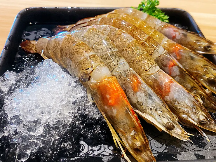  新莊火鍋推薦│大魔大滿足鍋物（新莊店）