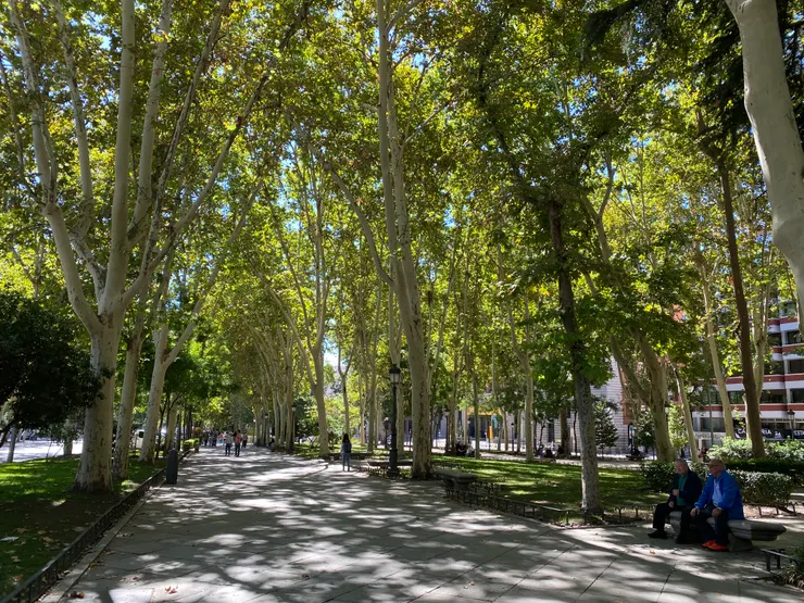 大馬路中的超大分隔島（跟公園一樣）