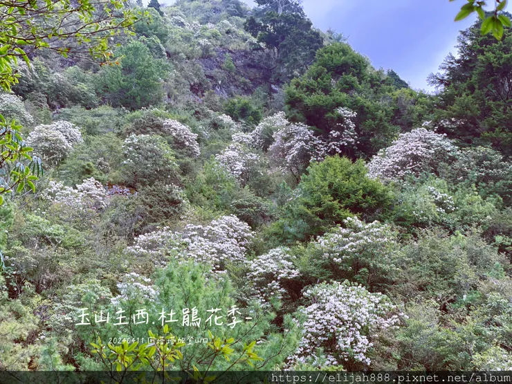 【玉山主峰西峰.兩天兩夜】冷到爆炸的玉山主峰賞雲海/一直走花