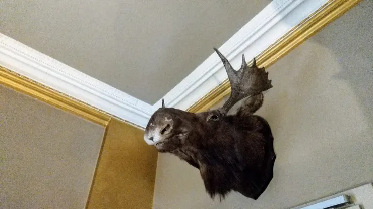 應該是真的（？