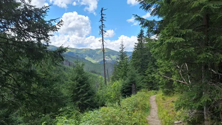 要翻越到隔壁山谷的小徑