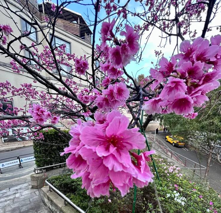 （台北市新北投）