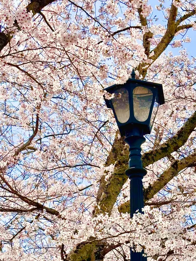 YT塔羅占卜頻道