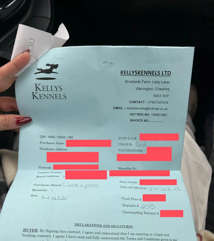 英國養狗支付訂金