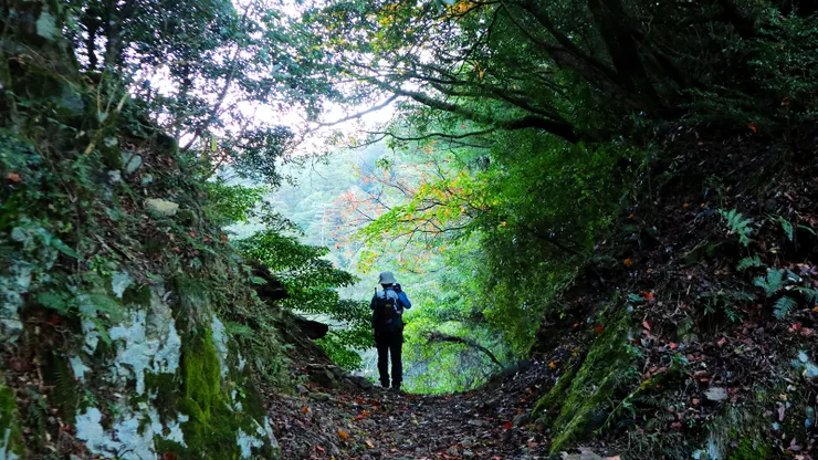 ▲3K石鹿大山登山口