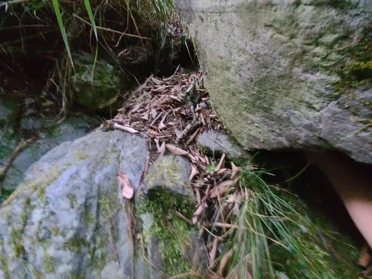 右邊紅圈圈,有凹槽手可勾入