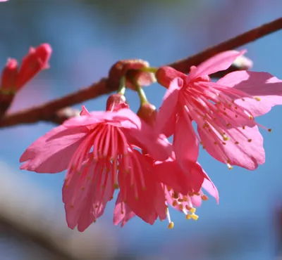196的小資族實驗室