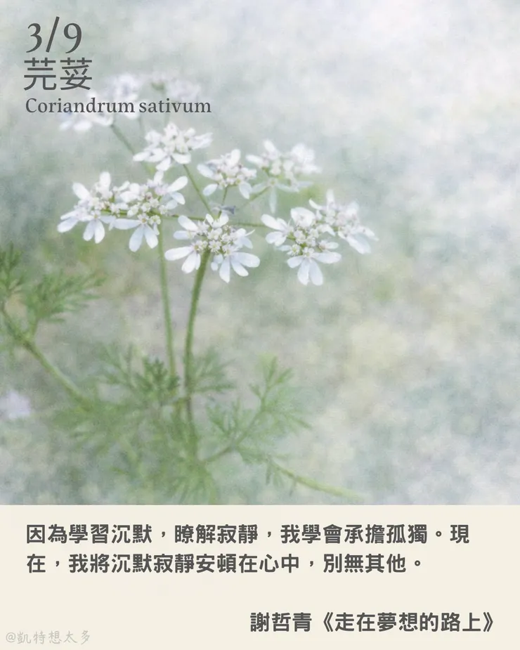 3 月 9 日｜芫荽×謝哲青《走在夢想的路上》