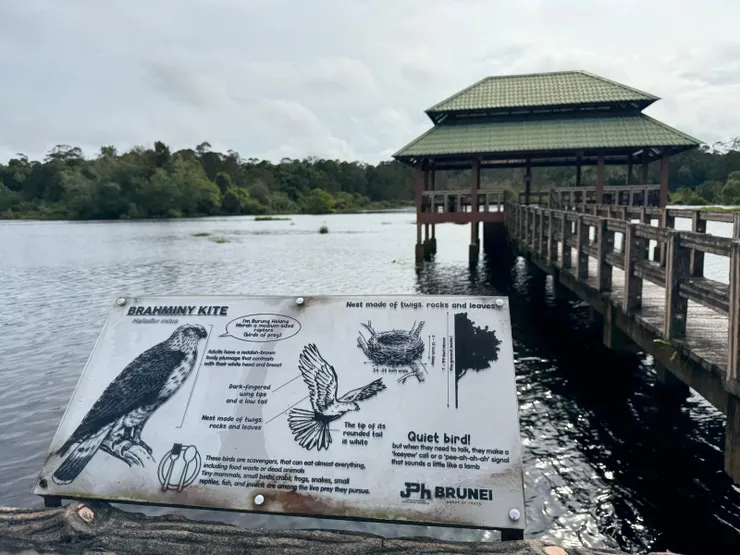 一路上也有不少指示牌介紹當地生態