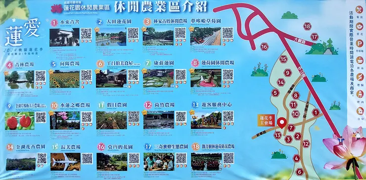 ▲2024桃園蓮花季/圖片來源:Betty's Jump Diary