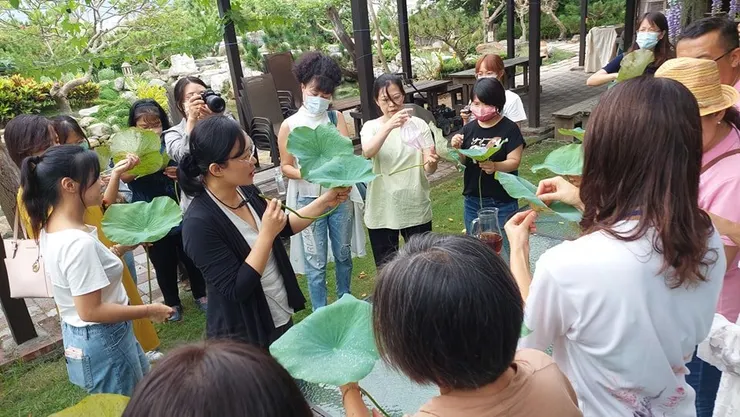 帶著自己種的無毒荷葉辦工作坊
