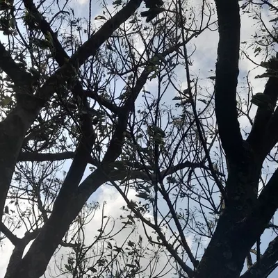 透明方塊的沙龍