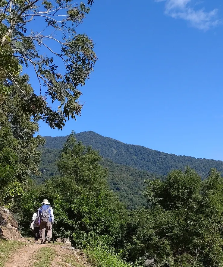 爸媽，謝謝你們！