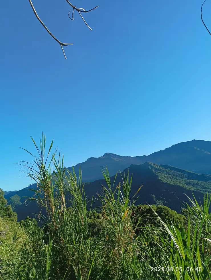 曙色漸明青翠碧