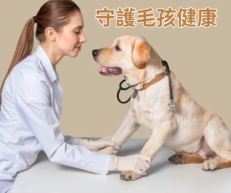 清潔用品.清潔劑.化學物質.毛小孩