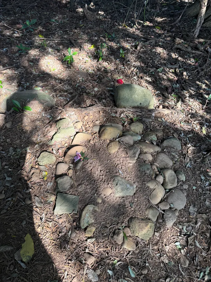 2026/03/15 有陽光灑落的圓圓睡覺處