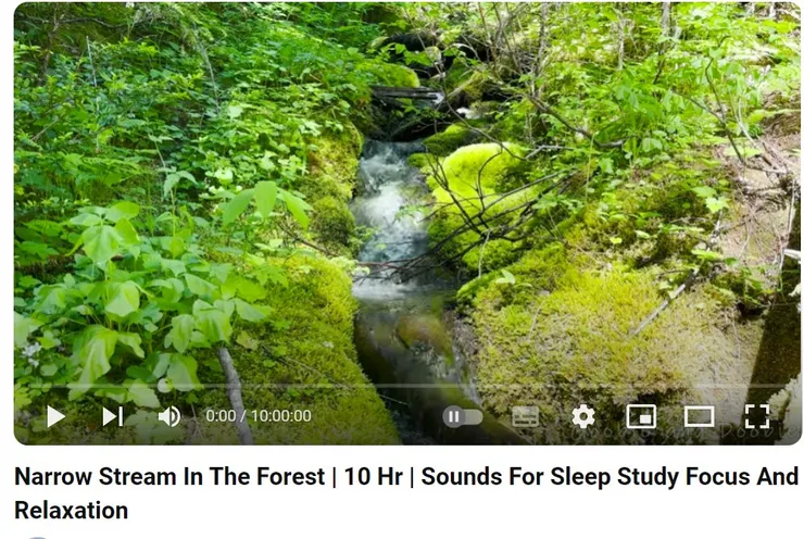 Narrow Stream In The Forest | 10 Hr | Sounds For Sleep Study Focus And Relaxation