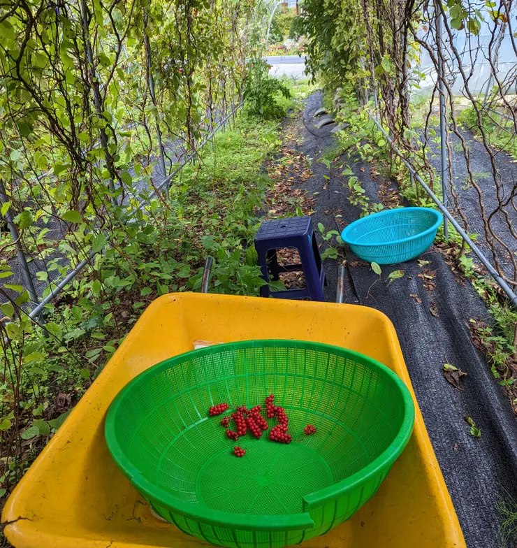 任務 & 道具接收完畢！
