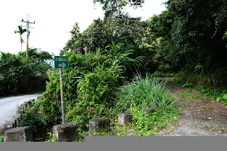 產業道路旁的小路可驅車到登山口，但枯枝落葉甚多