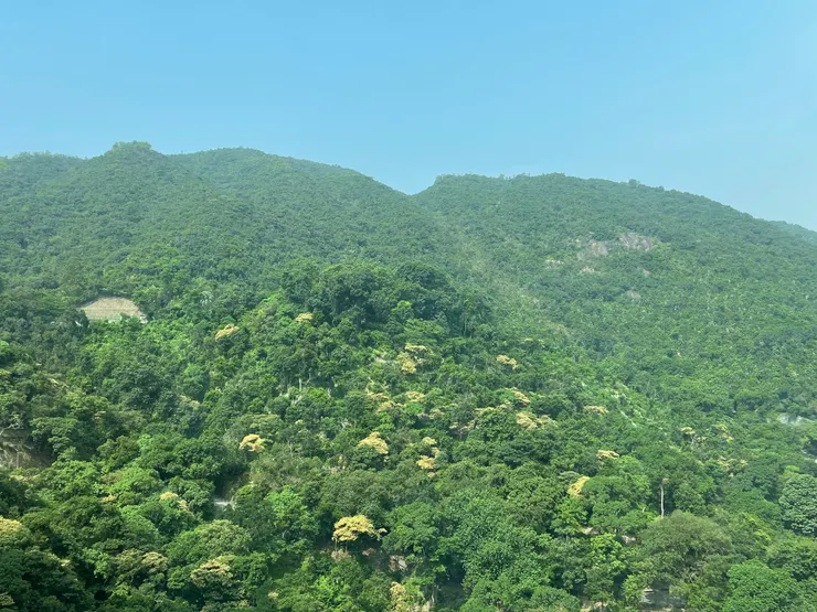 香港柏架山道一帶（作者拍攝）